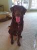 Charlie